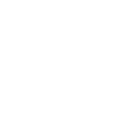 fighter jet icon