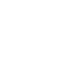 security icon