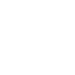 options icon